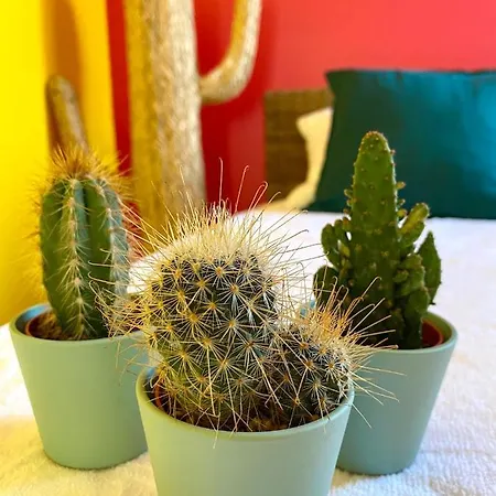 Appartement Evasion Dépaysante En Bord De Garonne *