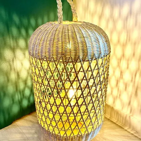 Evasion Dépaysante En Bord De Garonne Toulouse