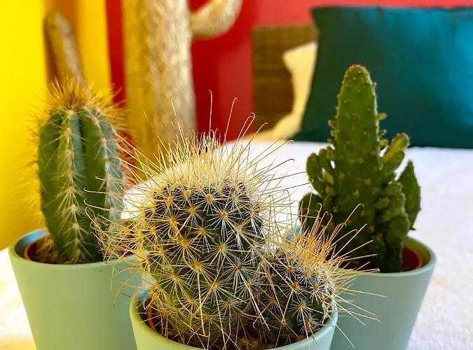 Appartamento Evasion Dépaysante En Bord De Garonne *